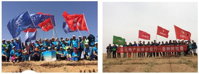 引领公益新长征 华远地产三赴阿拉善参与梭梭春种
