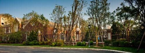 幸福生活+向往的繁华与静谧