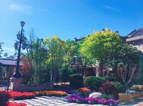 别问我别墅为什么贵了？