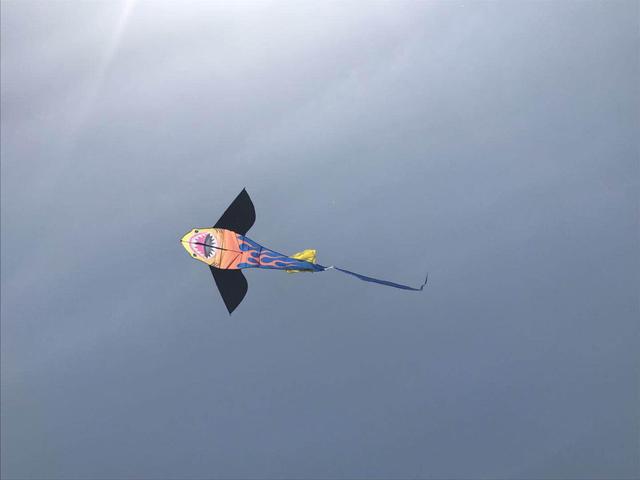 放飞创意想象 每个孩子都有属于自己的天空