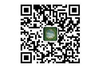 牛驼温泉孔雀城荧光夜跑活动 5月19日炫酷开跑