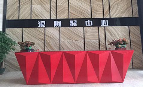 广东浪险猴集团董事长 浪险猴中心董事长