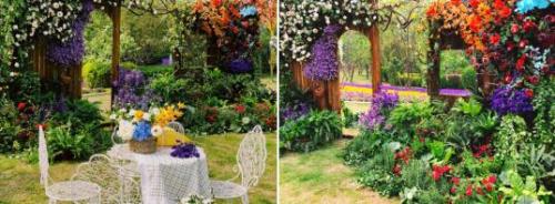 你在回京的人海里 我在惬意的花园中