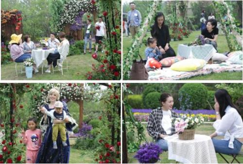 你在回京的人海里 我在惬意的花园中