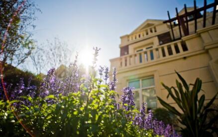 幸福生活+ “慢下来”的生活更幸福