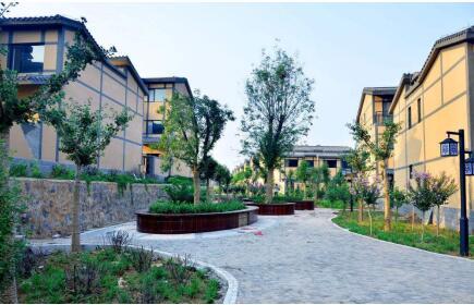 网上有那么多城市排行榜 我最想居住的却是这个