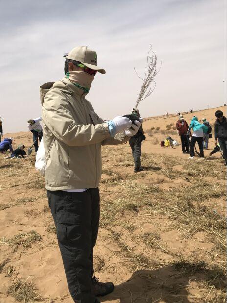 引领公益新长征 华远地产三赴阿拉善参与梭梭春种