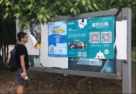 蛋壳公寓毕业生安家"椋鸟计划"近尾声 惠及25万毕业生