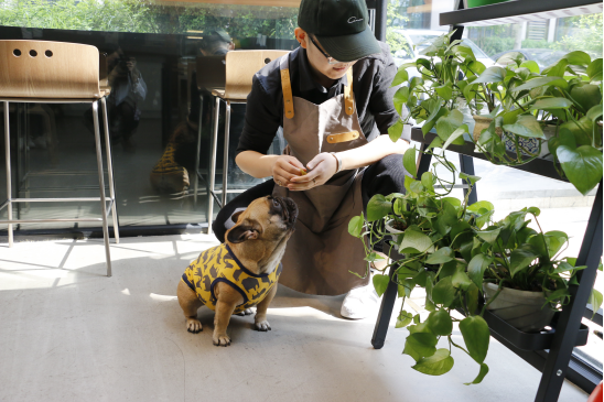 90后咖啡师：为爱北漂 梦想开一家自己的咖啡店