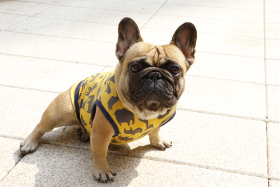 90后咖啡师：为爱北漂 梦想开一家自己的咖啡店