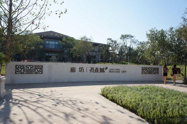 桃花遍地开 春天就要有故事