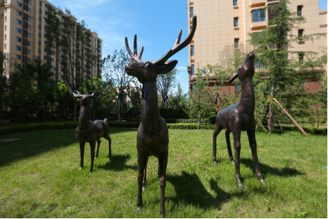 全家福拍摄：洋溢在公园懿府各个角落的幸福