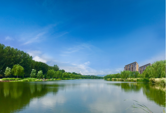 携手文化大师，和聚水岸，共襄公益