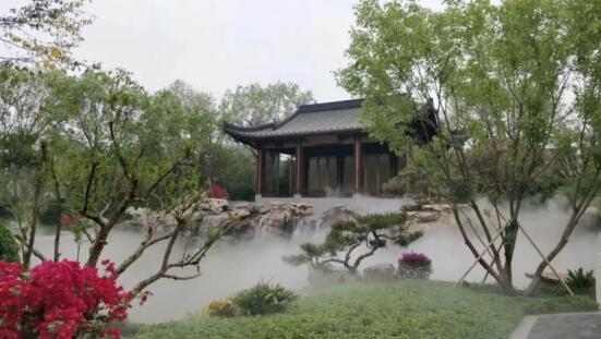 千万级龙袍真品空降售楼处 这是要闹哪样