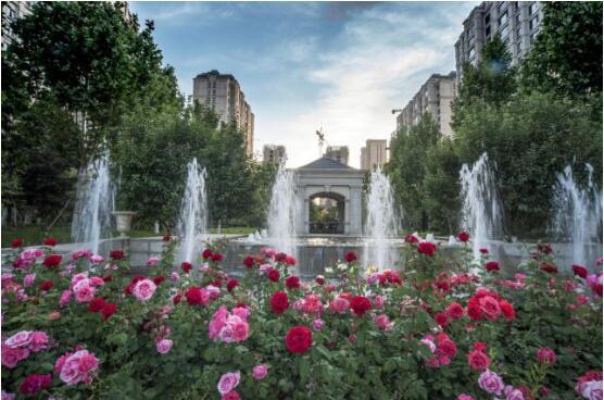 孔雀城社区 以幸福之名为爱发声