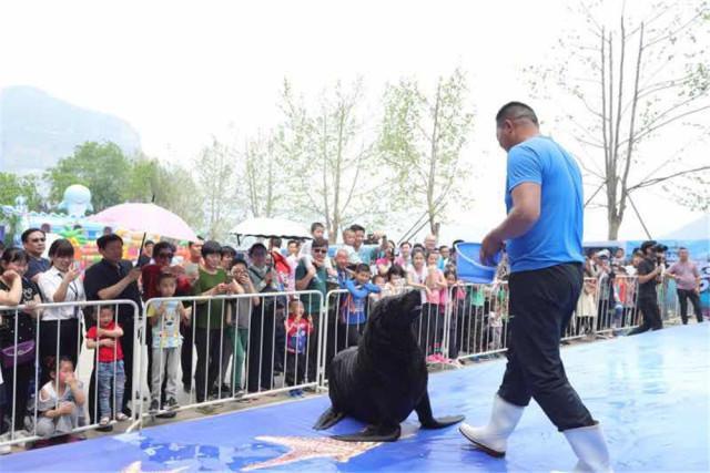 首届海洋节完美落幕 五一天鹅湖掀购房热潮