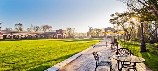 幸福生活+夏日物语