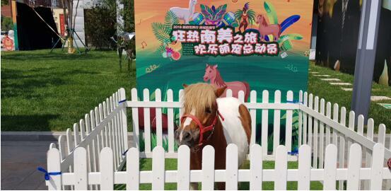 狂热南美之旅 欢乐萌宠总动员已欢乐落幕