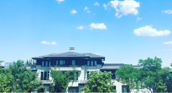 要赢在起跑线的 就只有你的孩子么