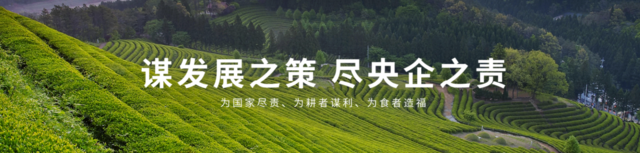 中粮“双创”在行动:扬帆前行风正劲 奋楫破浪争人先