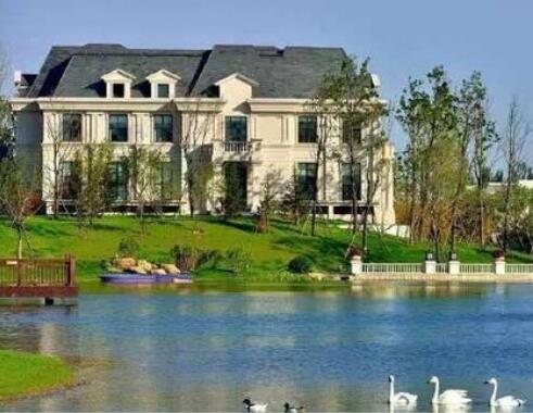 幸福生活+夏天的风