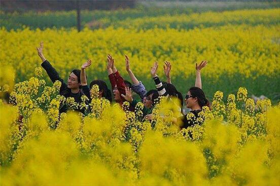 春天就要到了 动起来