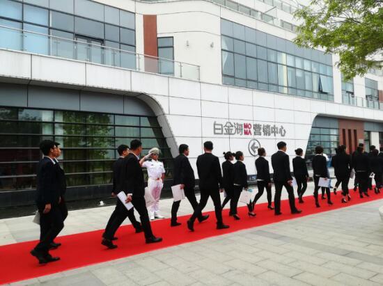 相约白金海 盛放东戴河