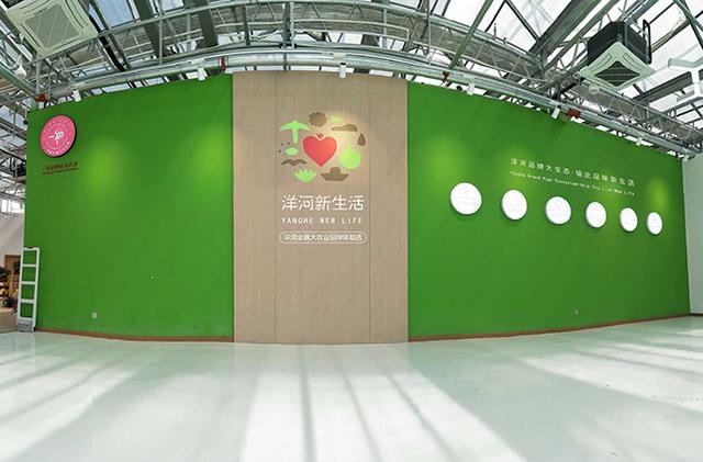 大设计引领下的乡村振兴之路