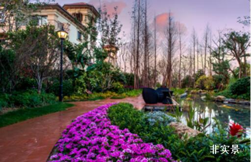 洋房生活|有温度的生活 让你静享温柔岁月