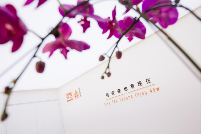 远洋邦舍：自由你的灵魂