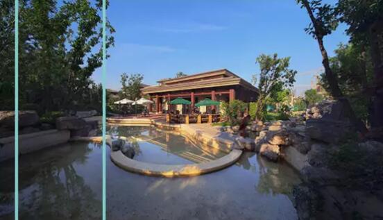 一个有关于幸福的答案