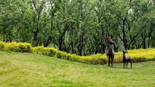 住在被五座公园包围的地方是一种怎样的体验？