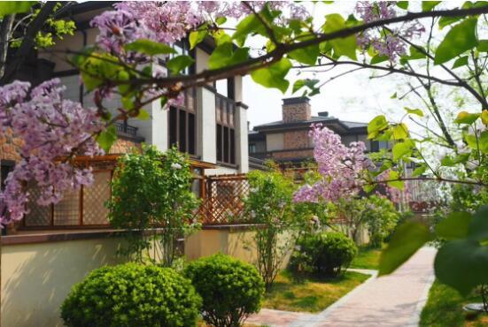 牛村 这里有你向往的生活