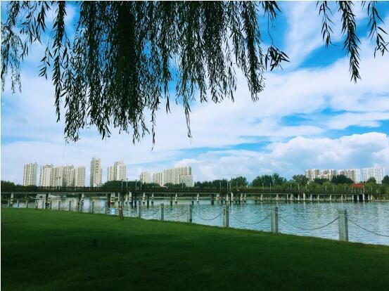 择水而憩的你 带着造梦者的气质