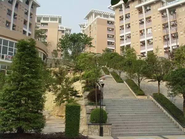 重邮的天梯共115级,两边都是宿舍,女生宿舍,女生宿舍位于顶端,这椅抖