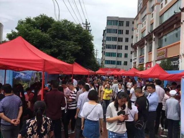 大沙河旅業集團千人招聘會(道真專場)盛大啟幕