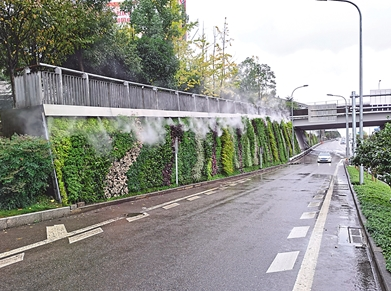 冬日也有春意堡坎穿绿衣渝北新添两处立体绿化