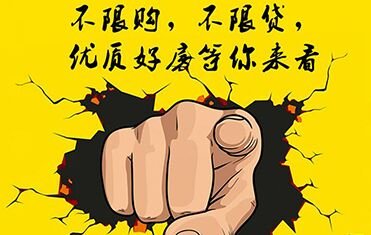 不限购不限贷看房团