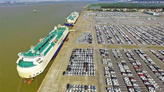 南沙自贸区三岁啦 证照分离改革试点升级