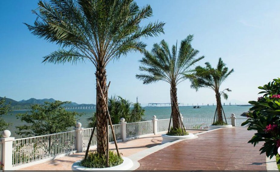 莱蒙水榭湾看房团