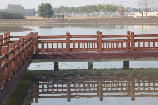 休闲娱乐新去处 嘉定这个湿地修复项目建成