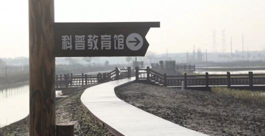 休闲娱乐新去处 嘉定这个湿地修复项目建成