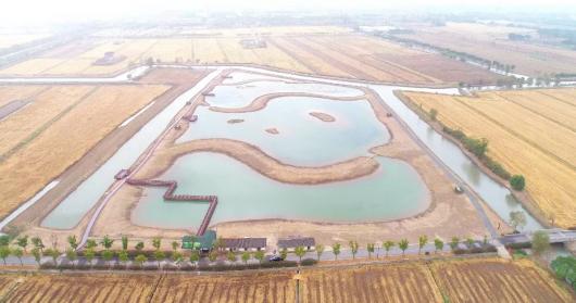 休闲娱乐新去处 嘉定这个湿地修复项目建成