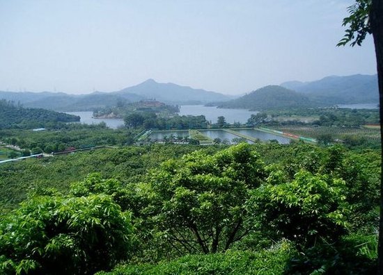 清林径森林公园,"国色天香"之生态国香清林郡,除了产品让人惊艳之外