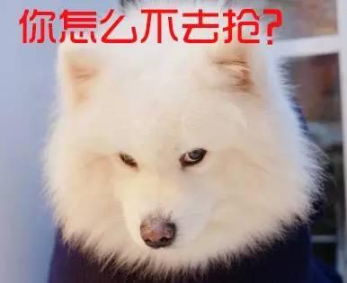 深圳该不该强拆钉子户他的回答好机智