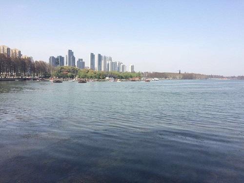 三角湖水环境综合治理用1年多将水质由5类提升至4类