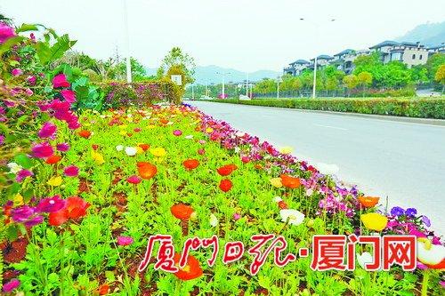 公路边绿化花(公路边绿化花树)