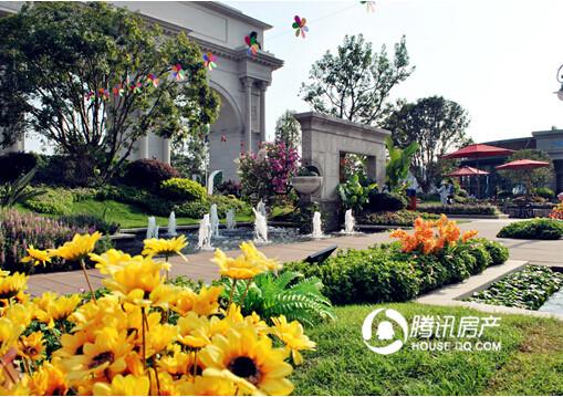 漳浦论坛:沟通桥梁,社区力量