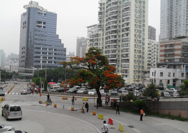 镇海路,将军祠片区将有15条公交线路进行调整_房产厦门站_腾讯网