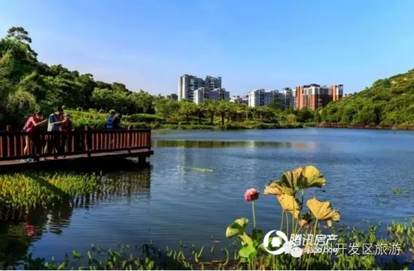 漳州海湾新城图片